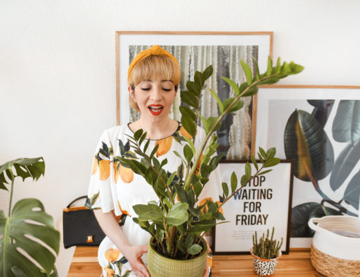 grüner, daumen, pflanzen, home, living, interior, einrichtung, berlin, blogger, blog, lifestyle, boho, bohemian, zuhause, poster