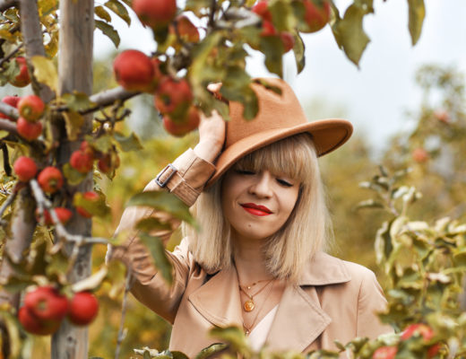 äpfel, schwäche, sünden, life, update, berlin, apfelernte, brandenburg, berlin, natur, herbst, fall, autumn, inspiration, blogger, lifestyle, blog, fashionblog, modeblog